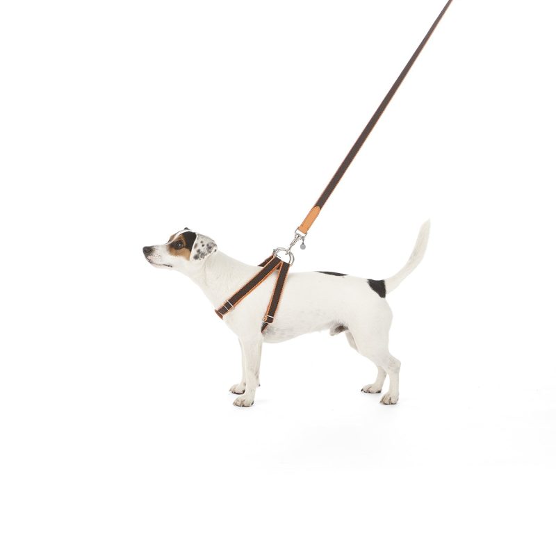Ring Dog Harness Preppy - Image 2