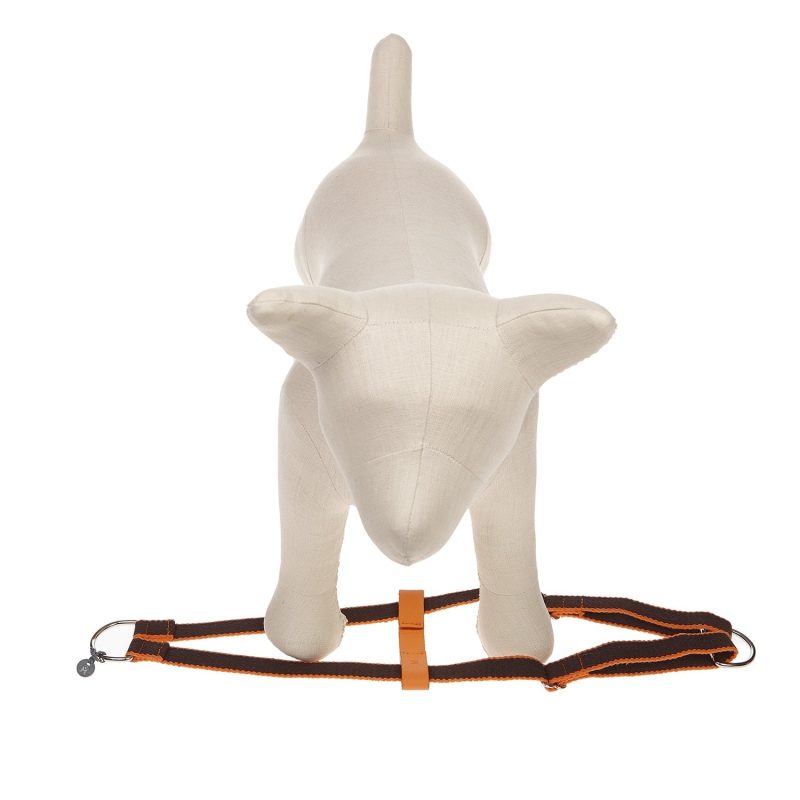 Ring Dog Harness Preppy - Image 3