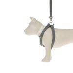 Ring Dog Harness