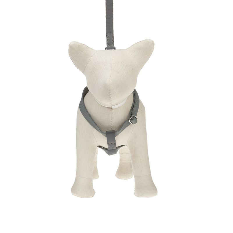 Ring Dog Harness - Image 4