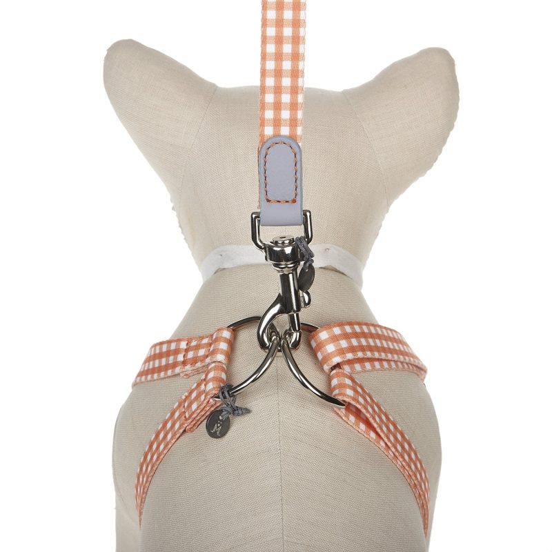 Ring Dog Harness Clara Check - Image 6