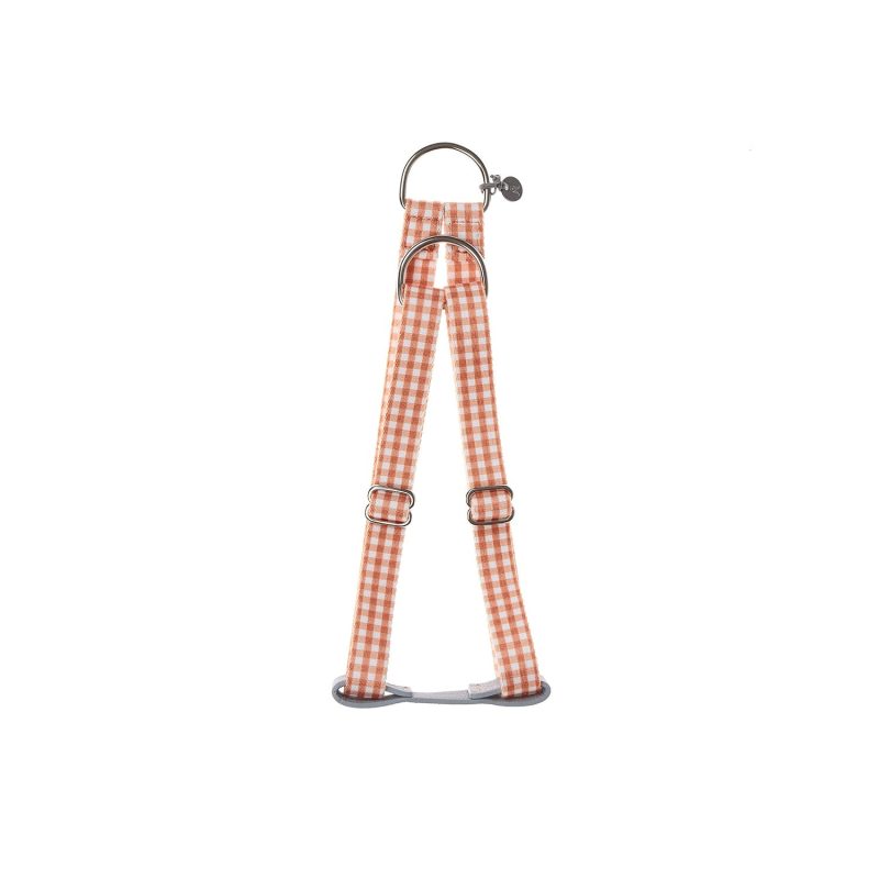 Ring Dog Harness Clara Check - Image 8
